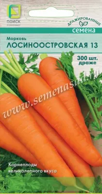 морковь Лосиноостровская 13 СеДек 161080448 купить за 134 ₽ в  интернет-магазине Wildberries