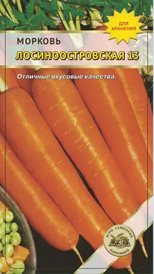 Семена Морковь \"Лосиноостровская 13\",1,5 г серия ХИТ х3 (11 шт) -  РусЭкспресс