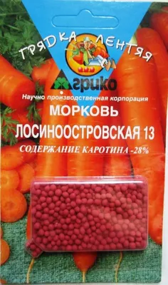 Морковь обыкновенный Лосиноостровская 13 🌿 обзор: как сажать, семена моркови  Лосиноостровская 13 - YouTube