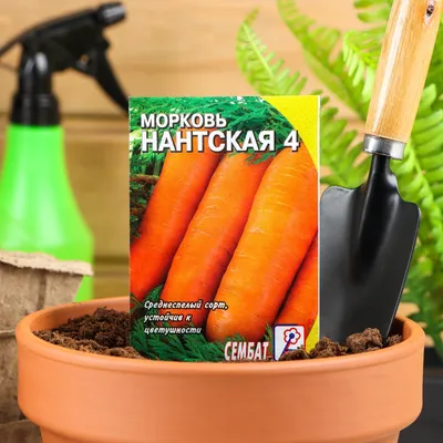 морковь НАНТСКАЯ УЛУЧШЕННАЯ, Агроника