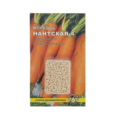 Морковь Нантская - описание сорта в каталоге питомника