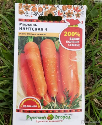 Морковь Нантская 4 драже 300шт/10/420