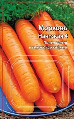 Морковь Нантская 4, семена Агроуспех 2г (180) в ТПК РОСТИ - ТПК Рости