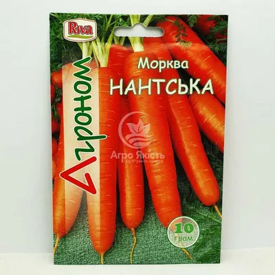 Семена Морковь \"Нантская Красная\", 250 шт. (7584919) - Купить по цене от  23.30 руб. | Интернет магазин SIMA-LAND.RU