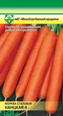 Морковь Нантская 4 Удачные Семена, 2г - купить с доставкой в Самаре в  Перекрёстке