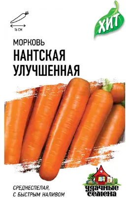 Семена \"Русский огород\" Морковь \"Нантская 4\" - «Популярный сорт моркови \" Нантская 4\". Качество семян, посадка, уход. Фото моего урожая 2023.» |  отзывы
