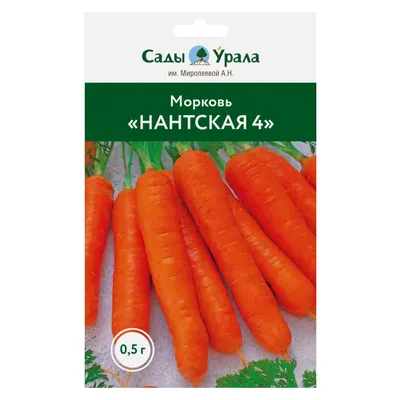 Морковь \"Нантская 4\", семена купить по цене 30.6 ₽ в интернет-магазине  KazanExpress