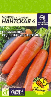 Морковь Нантская 10 г |Интернет магазин Агро-качество