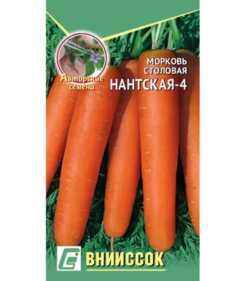 Морковь Нантская 4 столовая 1.5г (Франция) купить в интернет-магазине