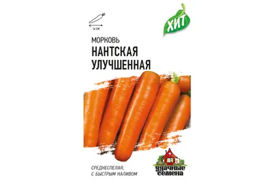 Морковь Дом семян морковь Нантская 4 на ленте 2 пакета - купить по выгодным  ценам в интернет-магазине OZON (348011299)