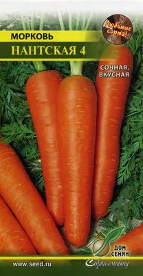 Семена Морковь Нантская 4 арт. А10119 Россия купить в Могилеве