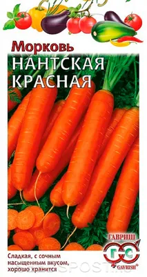 Морковь Нантская красная драже 300шт, семена | Купить в интернет магазине  Аэлита