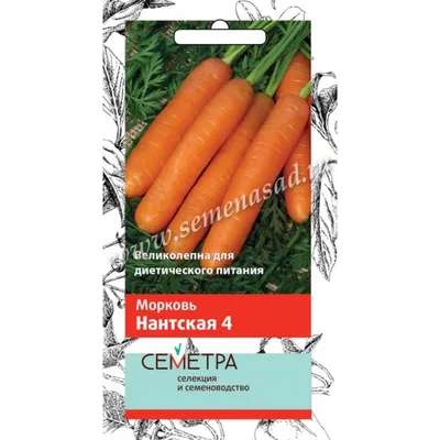 Семена Морковь Нантская 4, 5000 сем. купить оптом или розницу. Выгодные цены