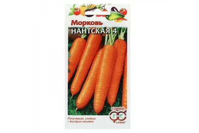 Морковь Нантская-4 300 шт. купить оптом в Томске по цене 19,85 руб.