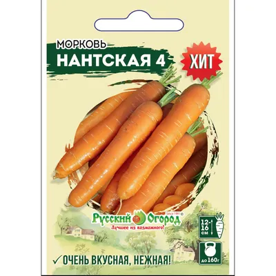Купить семена: Морковь Нантская 4 - цены,фото,отзывы | Green-Club.com.ua
