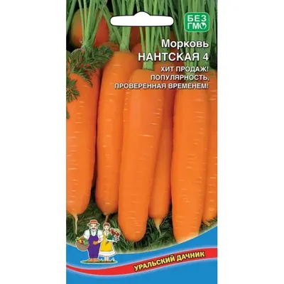 Морковь ПОИСК Агрохолдинг шантенэдраже_нантская-4_140260 - купить по  выгодным ценам в интернет-магазине OZON (170346374)