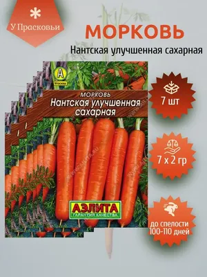Купить морковь Нантская 4 2 гр бп, арт: 2858 Морковь недорого в магазине в  Рыбинске, цена