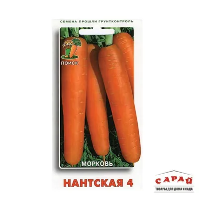Морковь Нантская 4 (Семетра) 2гр. купить в интернет-магазине RemontDoma