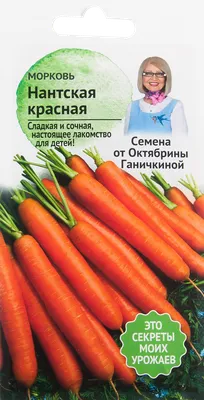 Семена Гавриш Морковь Нантская 4, 2 г 874 - выгодная цена, отзывы,  характеристики, фото - купить в Москве и РФ