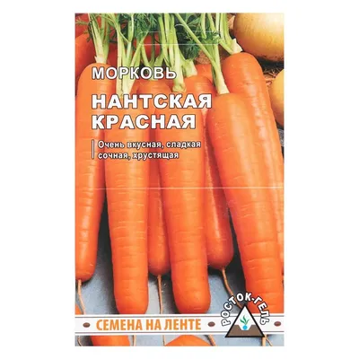 Купить морковь нантская 4 2г по оптимальной цене. Строительные материалы  оптом и в розницу с доставкой