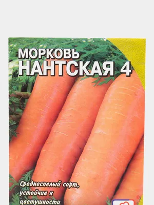 Семена Морковь Нантская 4 (а/ф Уральский Дачник) купить за 23 р. в садовом  центре АСТ Медовое