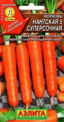 Морковь Нантская 5 суперсочная 2г, семена | Купить в интернет магазине  Аэлита