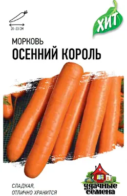 Морковь осенний король фото фото