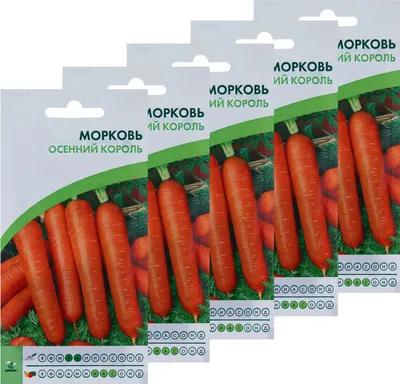 ✓ Семена Морковь Осенний король, 2,0г, Удачные семена по цене 12 руб. ◈  Большой выбор ◈ Купить по всей России ✓ Интернет-магазин Гавриш ☎  8-495-902-77-18