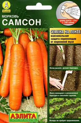 Морковь Самсон на ленте 8м, семена | Купить в интернет магазине Аэлита