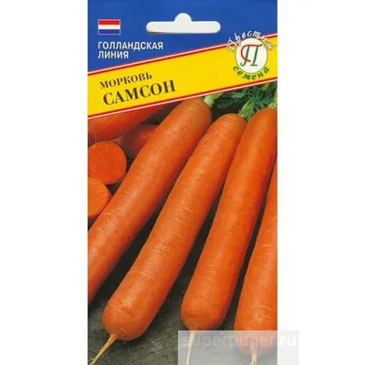 Морковь Самсон (лента 6м) (Голландия) (Престиж) • Совместные покупки  SuperPuper