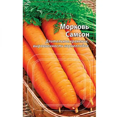 Семена Морковь Самсон (Bejo Zaden) - купить по выгодной цене | Урожайка