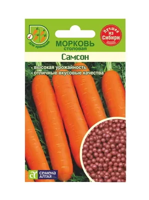 Морковь \"Самсон\", семена купить по цене 58 ₽ в интернет-магазине  KazanExpress