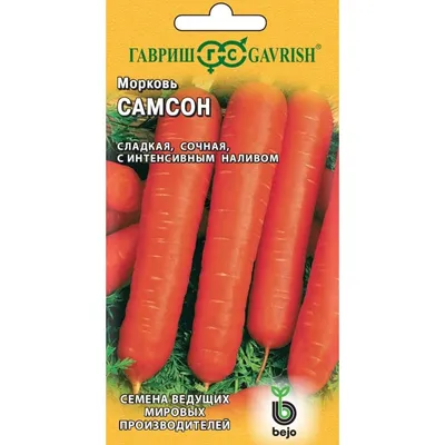 Семена моркови : Семена морковь Самсон