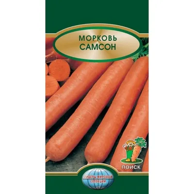 Морковь Самсон столовая 0.5г (Нидерланды) купить в интернет-магазине