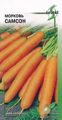 Морковь Самсон (ЦВ*) 2гр. купить в интернет-магазине RemontDoma