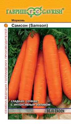 Семена Морковь Самсон по цене 33 ₽/шт. купить в Пензе в интернет-магазине  Леруа Мерлен