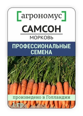 Семена Русский Огород Морковь Самсон Кольчуга 1 г купить для Бизнеса и  офиса по оптовой цене с доставкой в СберМаркет Бизнес