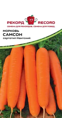 Морковь Самсон семена купить в Самаре по цене 97 руб.