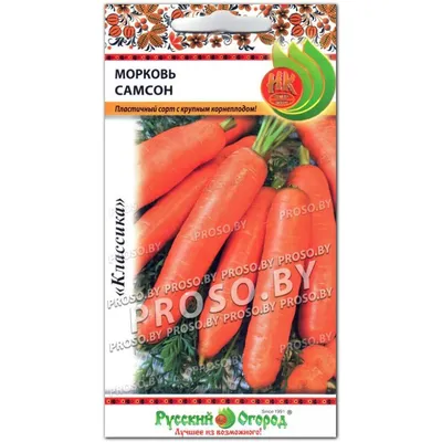 Купить семена Морковь Самсон Голландия (Гавриш), семена моркови в гранулах,  на ленте или россыпью в интернет-магазине Калинка.Маркет заказать почтой