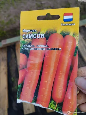 Семена Морковь Самсон Престиж семена в Сургуте – купить по низкой цене в  интернет-магазине Леруа Мерлен