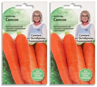 Морковь САМСОН (Bejo) - купить семена из Голландии оптом - АГРООПТ  (ALEXAGRO)