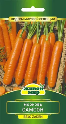 Семена Морковь \"Самсон\", 0,5 г (2 шт) - РусЭкспресс