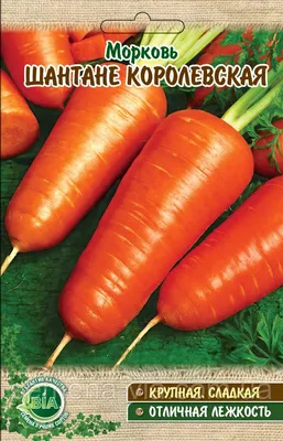 Морковь Шантане королевская (вес 20 г.) (в упаковке 10 шт) - купить по  лучшей цене в Харькове от компании \"Интернет магазин \"Семена - ВИА\".  Оптовый магазин семян.\" - 348389036