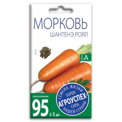 Морковь Шантане Ред Коред 2 (Bakker Brothers) - купить семена в Украине:  отзывы, цена, описание ᐉ Agriks