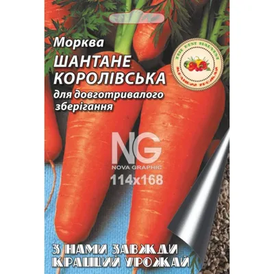 Морковь шантане фото фото