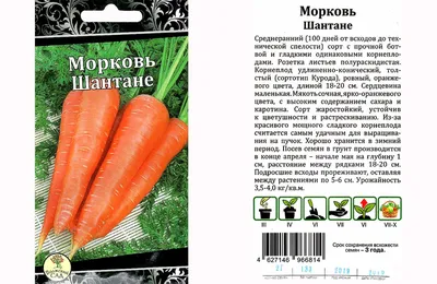 Семена моркови Шантане Роял 3 г купить в Украине с доставкой | Цена в  Svitroslyn.ua