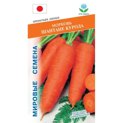 Морковь Курода Шантане - купить семена овощей с доставкой по Украине в  магазине Добродар