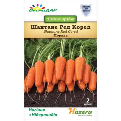 Морковь Шантане Ред Коред, 10 г купить 〛по выгодной цене в Киеве и Украине  | Фото | Отзывы