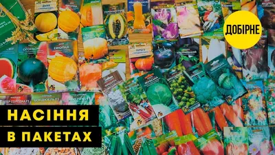 Шантане Роял | Leda Agro