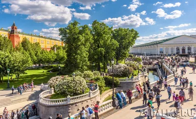 Александровский сад (Москва): мероприятия, еда, цены, билеты, карта, как  добраться, часы работы — ParkSeason